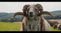 Овцы детективи (оф. трейлер)
